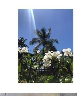 Fotografia de Cabana e Restaurante de praia Ariramba - Itacaré, Itacaré
